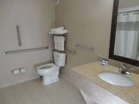 Standard Oda, 1 En Büyük (King) Boy Yatak, Engellilere Uygun (Walk-in Shower;with Sofabed)