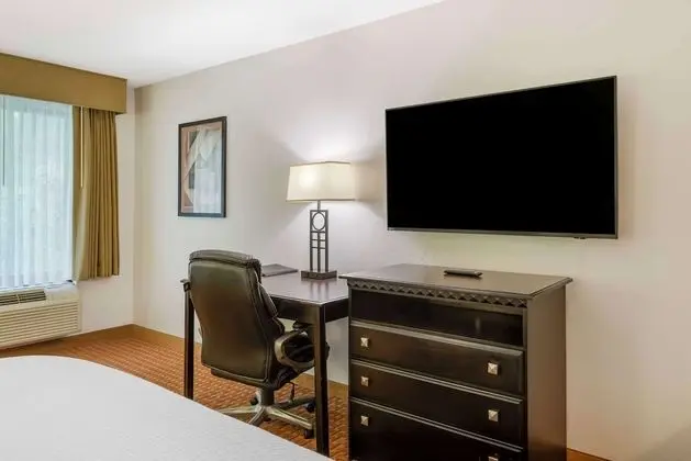 Standard Oda, 1 En Büyük (King) Boy Yatak, Engellilere Uygun (Walk-in Shower;with Sofabed)