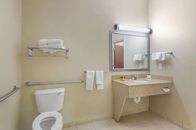 Standard Oda, 1 En Büyük (King) Boy Yatak, Engellilere Uygun (Walk-in Shower;with Sofabed)