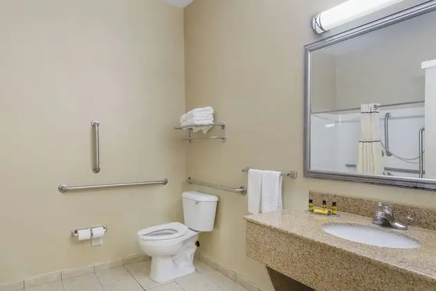 Standard Oda, 1 En Büyük (King) Boy Yatak, Engellilere Uygun (Walk-in Shower;with Sofabed)