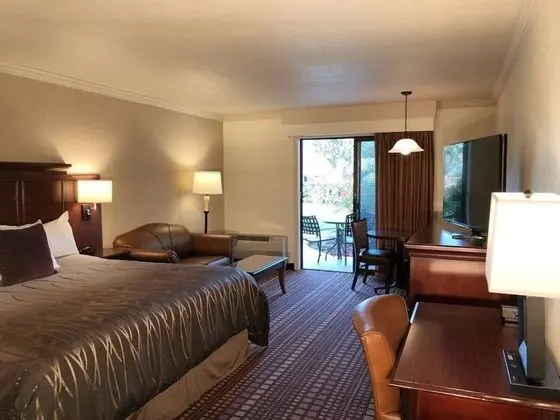 Standard Oda, 1 En Büyük (King) Boy Yatak, Veranda, Havuz Kenarı