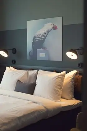 Economy Oda, 1 Büyük (Queen) Boy Yatak, Sigara İçilmez