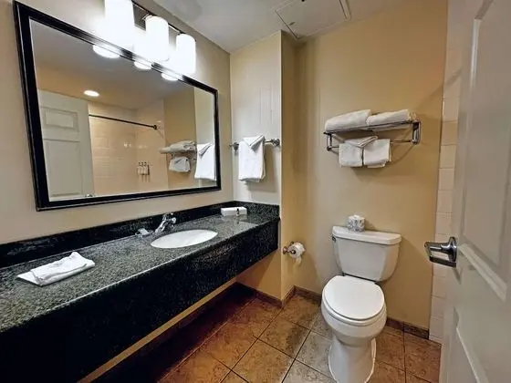 Standard Oda, 1 Büyük (Queen) Boy Yatak, Sigara İçilmez, Buzdolabı (Small Room)