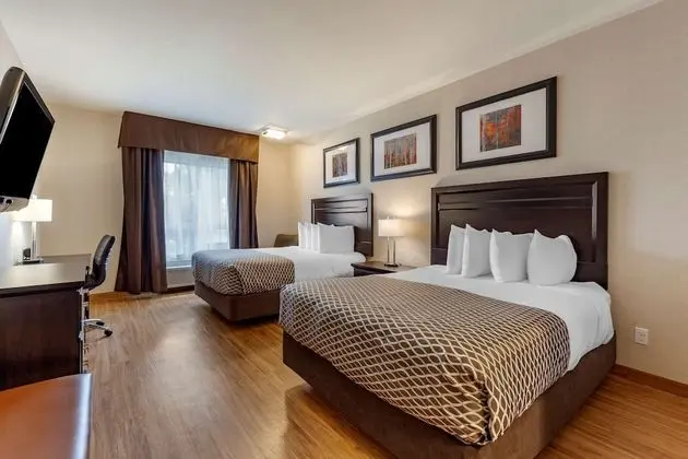 Standard Oda, 2 Büyük (Queen) Boy Yatak, Sigara İçilmez, Buzdolabı ve Mikrodalga (Pet Friendly)