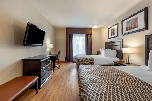Standard Oda, 2 Büyük (Queen) Boy Yatak, Sigara İçilmez, Buzdolabı ve Mikrodalga (Pet Friendly)