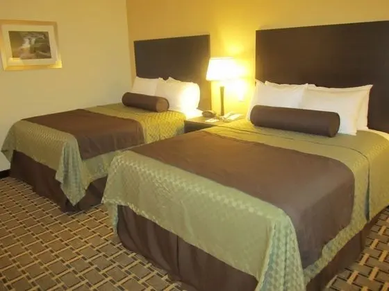 Standard Oda, 2 Büyük (Queen) Boy Yatak, Sigara İçilmez, Buzdolabı ve Mikrodalga (Pet Friendly)
