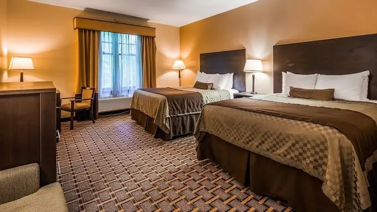 Standard Oda, 2 Büyük (Queen) Boy Yatak, Sigara İçilmez, Buzdolabı ve Mikrodalga (Pet Friendly)