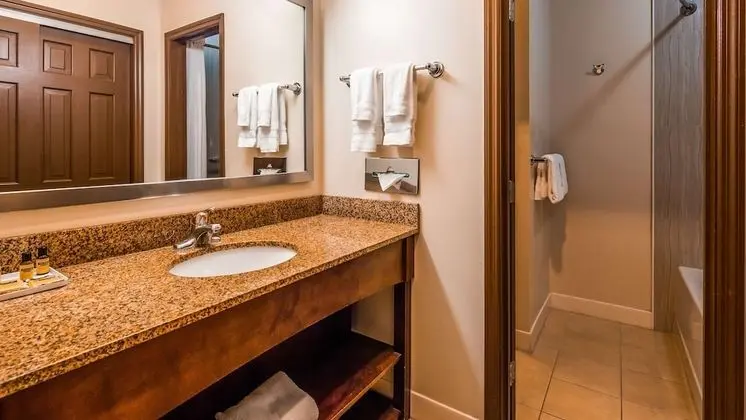 Standard Oda, 2 Büyük (Queen) Boy Yatak, Sigara İçilmez, Buzdolabı ve Mikrodalga (Pet Friendly)