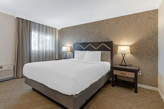 Standard Oda, 1 En Büyük (King) Boy Yatak, Sigara İçilmez (Walk-in Shower;with Sofabed)