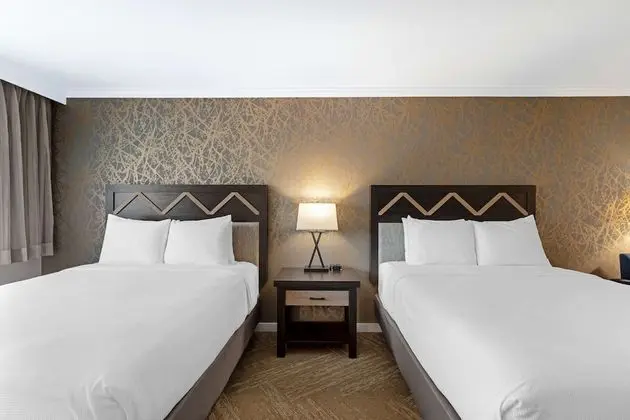 Standard Oda, 2 Büyük (Queen) Boy Yatak, Sigara İçilmez, Buzdolabı ve Mikrodalga (Walk-in Shower)