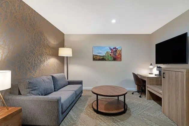 Süit, 2 Büyük (Queen) Boy Yatak, Sigara İçilmez (Living Room;Walk-in Shower)
