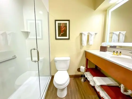 Standard Oda, 1 En Büyük (King) Boy Yatak, Sigara İçilmez, Buzdolabı