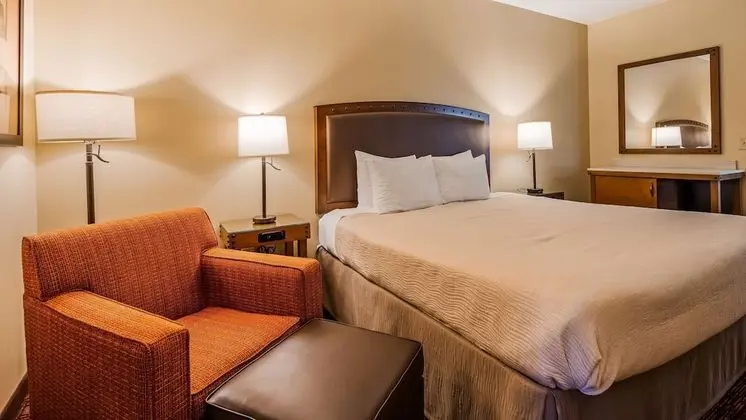 Standard Oda, 1 En Büyük (King) Boy Yatak, Sigara İçilmez, Buzdolabı (Pet Friendly)