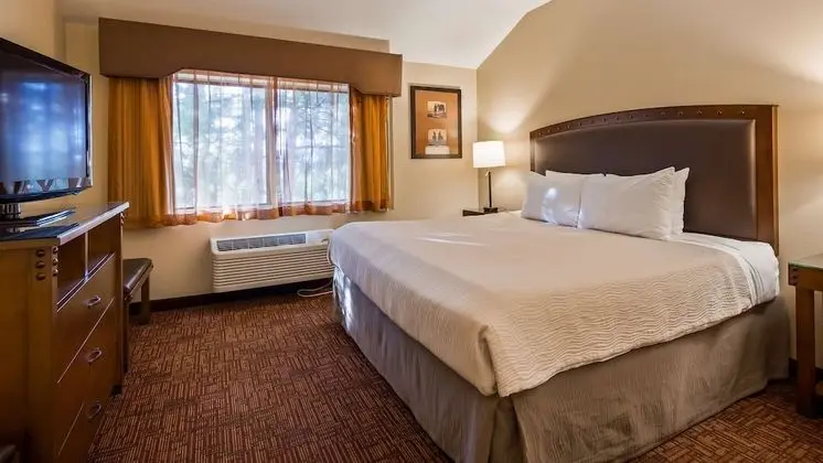 Standard Oda, 1 En Büyük (King) Boy Yatak, Sigara İçilmez, Buzdolabı (Pet Friendly)