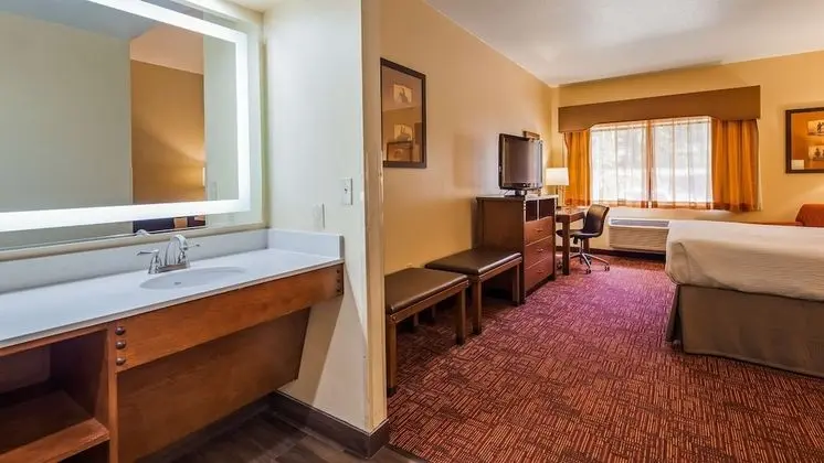 Standard Oda, 1 En Büyük (King) Boy Yatak, Sigara İçilmez, Buzdolabı (Pet Friendly)