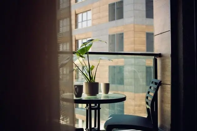 2+1 Deluxe Suite, Şehir Manzaralı