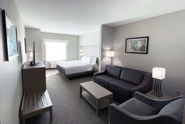 Süit, 1 En Büyük (King) Boy Yatak, Engellilere Uygun, Sigara İçilmez (Mobility, Bathtub w/Grab Bars)