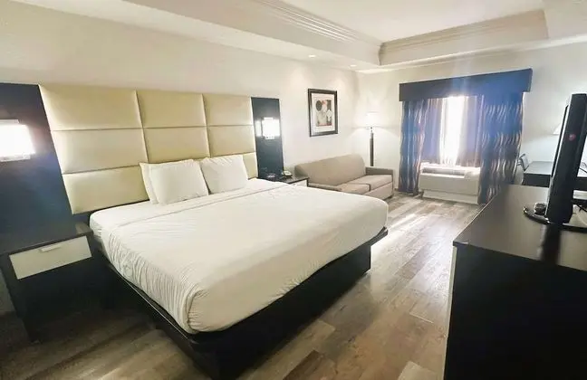Standard Oda, 1 En Büyük (King) Boy Yatak, Sigara İçilmez, Buzdolabı ve Mikrodalga (with Sofabed)