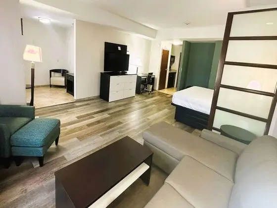 Süit, 1 En Büyük (King) Boy Yatak, Sigara İçilmez (Living Room;with Sofabed)