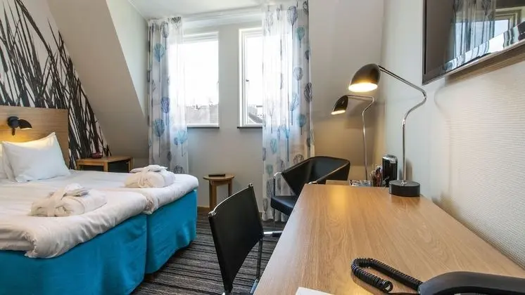 Deluxe Oda, 1 Çift Kişilik Yatak, Sigara İçilmez