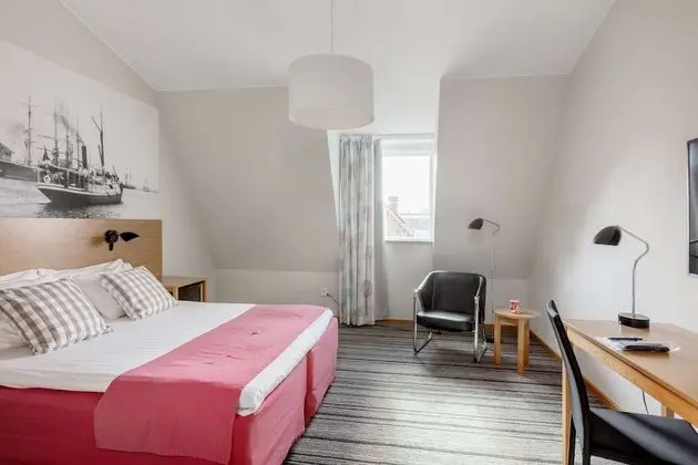 Deluxe Oda, 1 Çift Kişilik Yatak, Sigara İçilmez