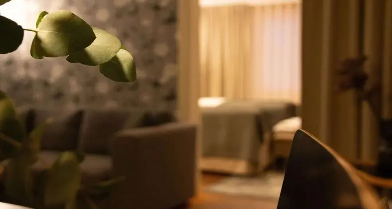 Süit, 1 Çift Kişilik Yatak, Sigara İçilmez