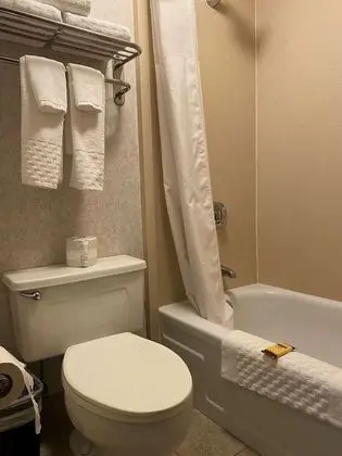 Standard Oda, 2 Büyük (Queen) Boy Yatak, Buzdolabı ve Mikrodalga, Havuz Kenarı