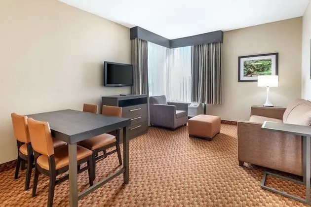 Süit, 1 En Büyük (King) Boy Yatak, Sigara İçilmez, Sıcak Su Küveti (Living Room)
