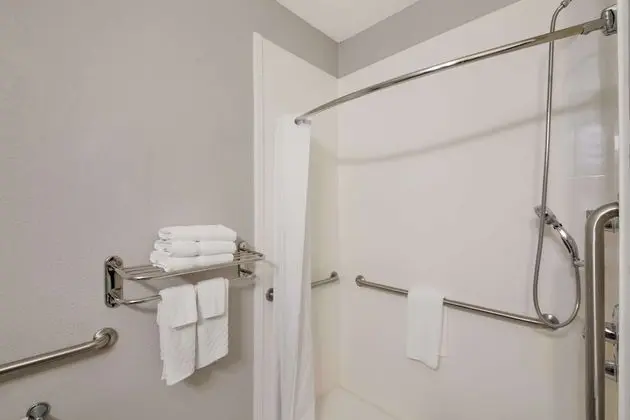 Standard Oda, 1 En Büyük (King) Boy Yatak, Engellilere Uygun (Walk-in Shower;with Sofabed)
