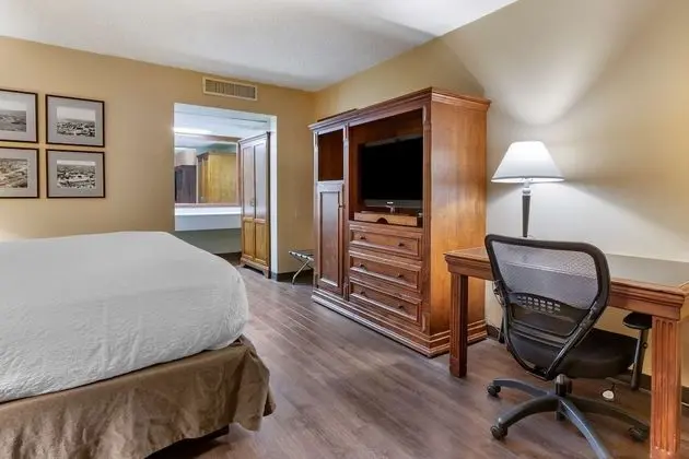 Standard Oda, 1 En Büyük (King) Boy Yatak, Sigara İçilmez, Buzdolabı ve Mikrodalga (Pet Friendly)