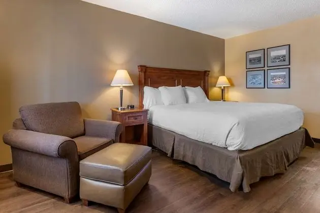 Standard Oda, 1 En Büyük (King) Boy Yatak, Sigara İçilmez, Buzdolabı ve Mikrodalga (Pet Friendly)