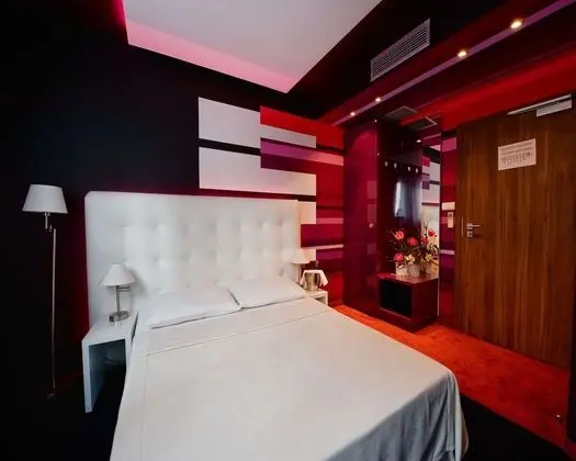 Premium Oda, 1 Çift Kişilik Yatak, Sigara İçilmez, Buzdolabı