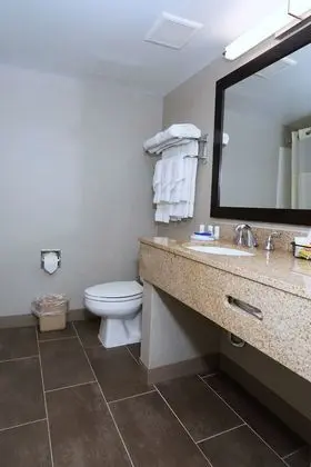 Standard Oda, 1 En Büyük (King) Boy Yatak, Sigara İçilmez, Buzdolabı ve Mikrodalga
