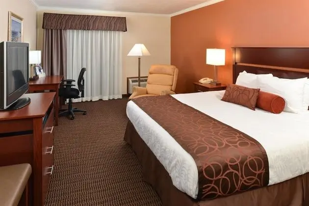 Standard Oda, 1 En Büyük (King) Boy Yatak, Sigara İçilmez, Balkon (Fees apply over 2 adults)