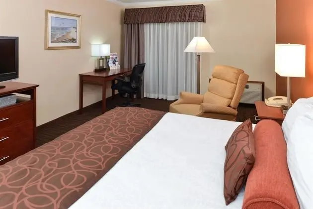 Standard Oda, 1 En Büyük (King) Boy Yatak, Sigara İçilmez, Balkon (Fees apply over 2 adults)
