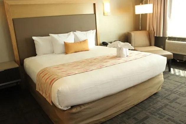 Standard Oda, 1 En Büyük (King) Boy Yatak, Sigara İçilmez, Küçük Mutfak