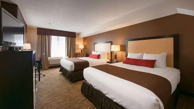 Standard Oda, 2 Büyük (Queen) Boy Yatak, Sigara İçilmez, Buzdolabı ve Mikrodalga (Pet Friendly)