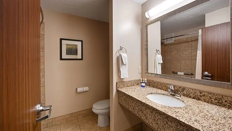 Standard Oda, 2 Büyük (Queen) Boy Yatak, Sigara İçilmez, Buzdolabı ve Mikrodalga (Pet Friendly)