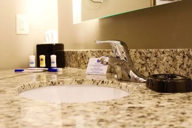 Standard Oda, 2 Büyük (Queen) Boy Yatak, Sigara İçilmez, Buzdolabı ve Mikrodalga (Pet Friendly)