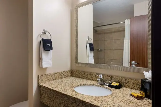 Standard Oda, 2 Büyük (Queen) Boy Yatak, Sigara İçilmez, Buzdolabı ve Mikrodalga (Pet Friendly)