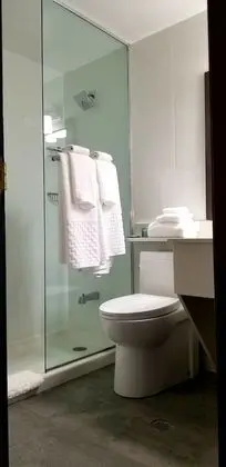 Süit, 1 En Büyük (King) Boy Yatak, Sigara İçilmez, Balkon (Shower Only;with Sofabed)