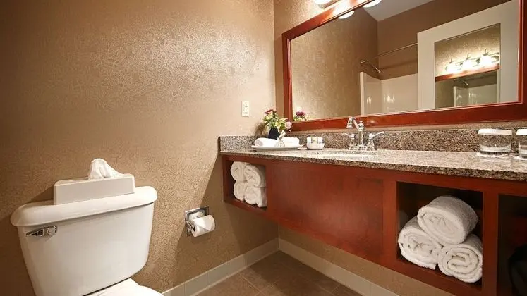 Executive Oda, 1 Büyük (Queen) Boy Yatak, Sigara İçilmez, Buzdolabı ve Mikrodalga (Four Poster Bed)