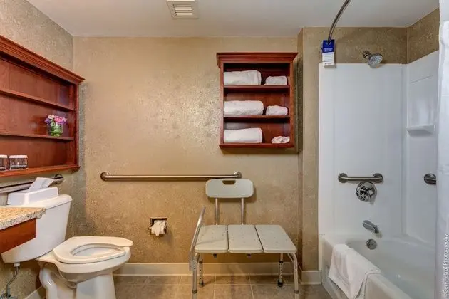 Executive Oda, 1 Büyük (Queen) Boy Yatak, Sigara İçilmez, Buzdolabı ve Mikrodalga (Four Poster Bed)