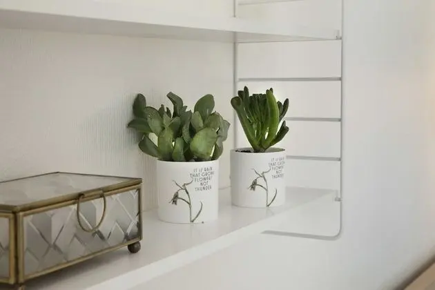 Deluxe Oda, 1 Büyük (Queen) Boy Yatak, Sigara İçilebilir, Göl Manzaralı (Twin bed on request)