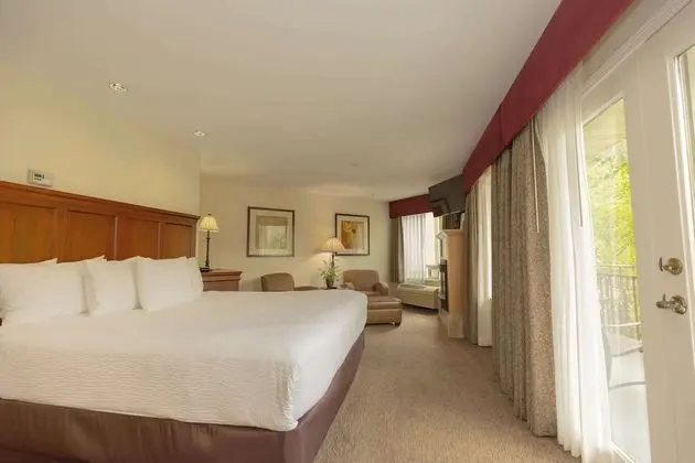 Süit, 1 En Büyük (King) Boy Yatak, Sigara İçilmez, Sıcak Su Küveti (Oversized Room)