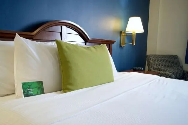 Standard Oda, 1 En Büyük (King) Boy Yatak, Sigara İçilmez