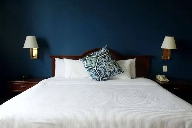 Süit, 1 En Büyük (King) Boy Yatak, Sigara İçilmez