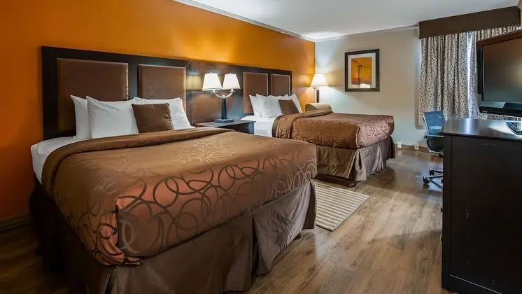 Standard Oda, 2 Büyük (Queen) Boy Yatak, Sigara İçilmez (No Pets in room type)