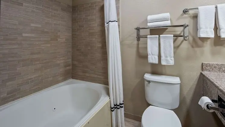 Standard Oda, 2 Büyük (Queen) Boy Yatak, Sigara İçilmez (No Pets in room type)