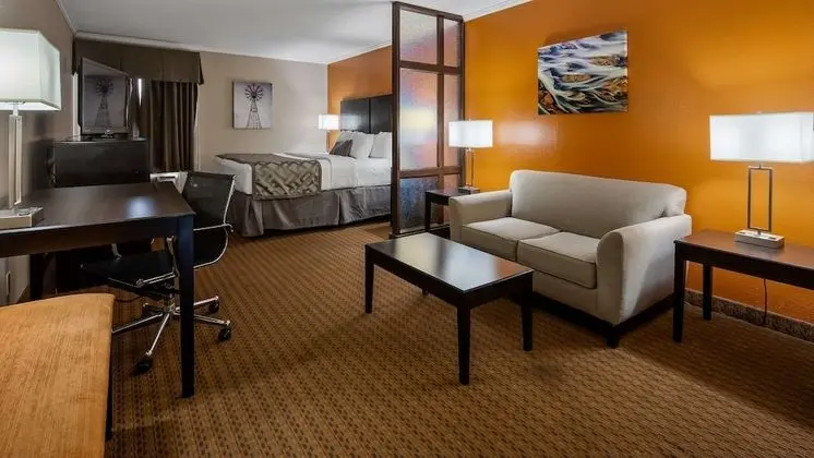 Süit, 1 En Büyük (King) Boy Yatak, Sigara İçilmez, Jakuzi (No Pets in room type)